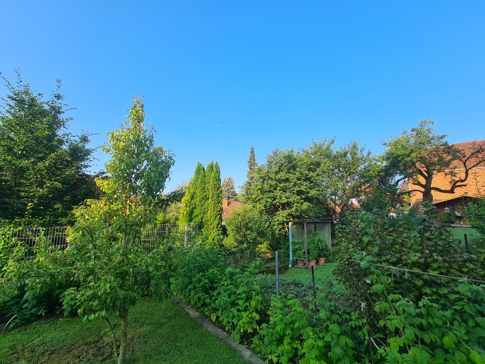 Apartamento Suedharzperle Bad Lauterberg Exterior foto