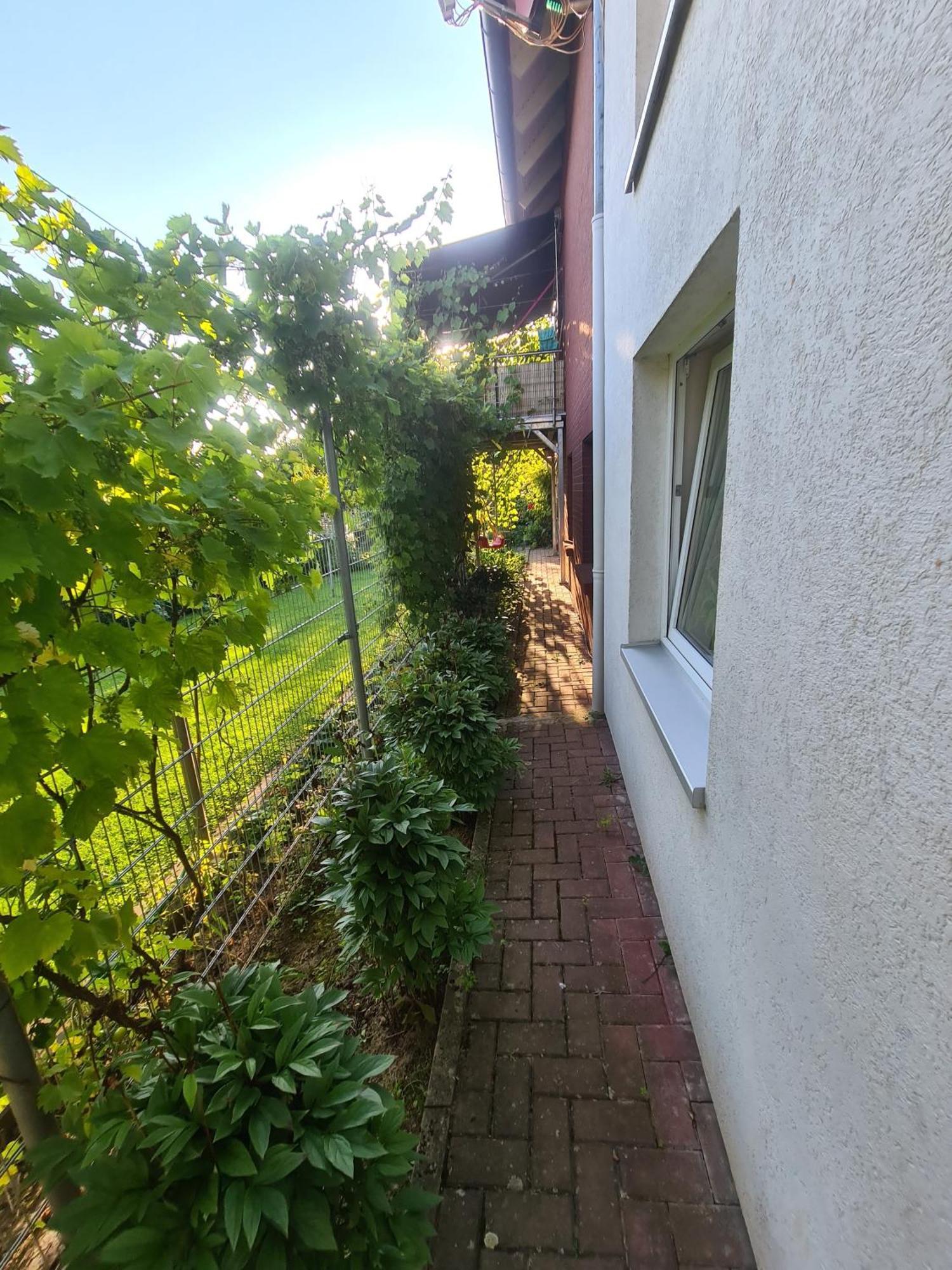 Apartamento Suedharzperle Bad Lauterberg Exterior foto